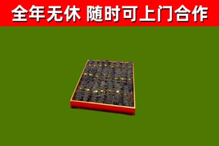 安岳回收海参